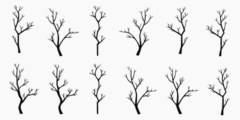 Obraz premium Collection of delicate bare branches arranged in a repeating pattern