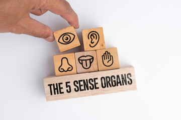 Wooden with five Sense organs icons namely sight, hearing, smell, teste and touch. basic 5 human senses