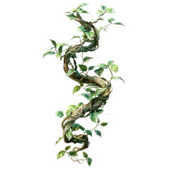 A vine with green leaves is winding its way up a tree