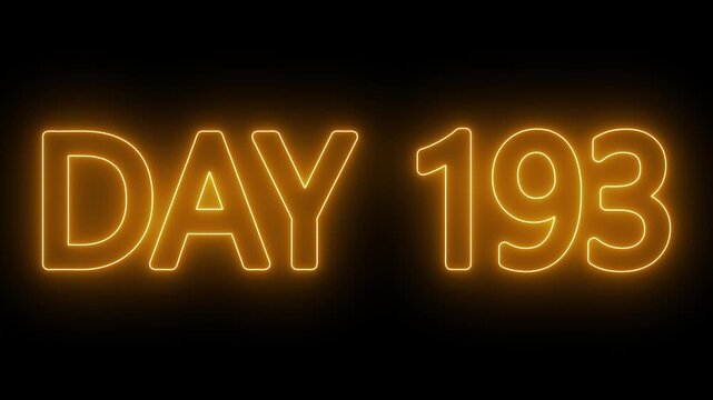 Neon text day 193 animation on black background. flickering neon inscription DAY 193. calendar counter concept