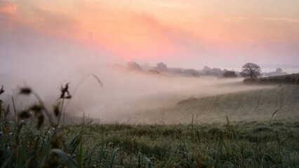 Misty sunrise over rolling hills with soft light and dew-covered grass.
