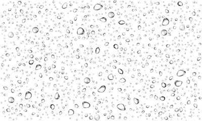 Fototapeta premium Water rain or shower drops seamless border isolated on transparent background. Realistic pure droplets condensed texture.