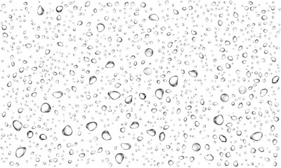 water drops rain droplets rainy fog drop fizz separate on transparent background pure clean crystal fresh.