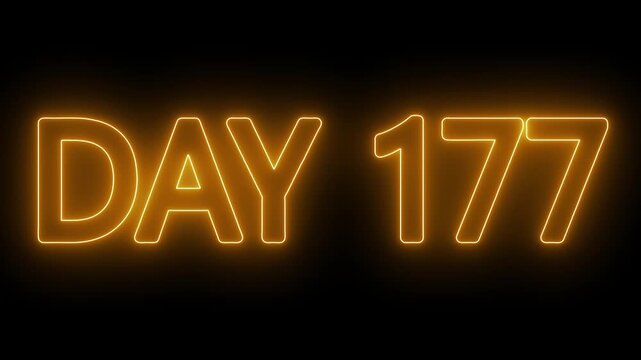 Neon text day 177 animation on black background. flickering neon inscription DAY 177. calendar counter concept