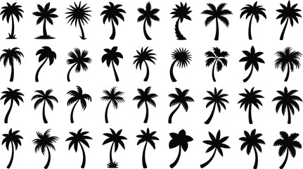 Collection of various black palm tree silhouettes on white background.