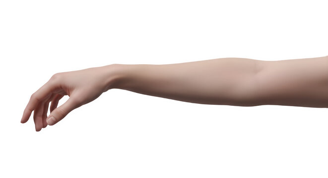 A human arm extended outward on transparent background.