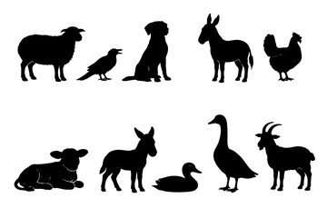 Obraz premium Black silhouettes of farm animals and birds: sheep, goat, donkey, dog, calf, chicken, crow, duck and goose. Clean vector set for agriculture, rural life, livestock and countryside design.