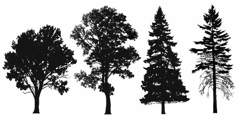 Silhouettes of various trees including deciduous and coniferous species © Bithi