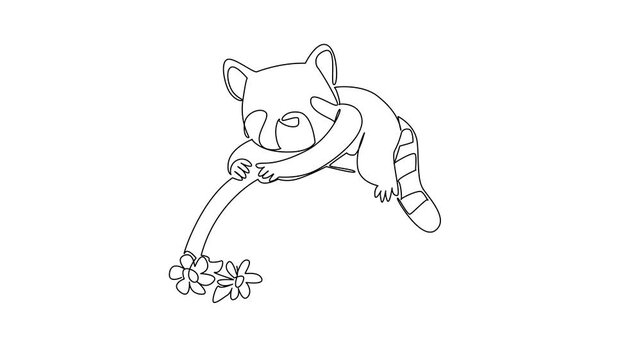 Animation of single line drawing of adorable and charming red panda resting comfortably across rainbow arc with soft clouds. Nature concept for cute woodland animal, Red Panda Day. Full length motion