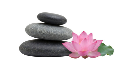 Fototapeta premium Zen Balance of Stacked Dark Grey Stones beside a Pink Lotus Flower and Green Leaf, Isolated on White Background