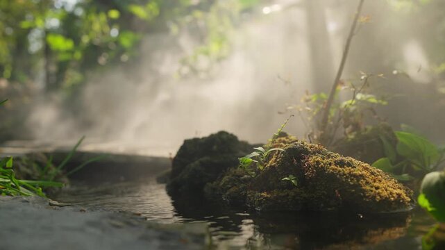 A lush green garden with a peaceful flowing stream, surrounded by ferns and leaves, with mist rising from the ground and warm light shining through