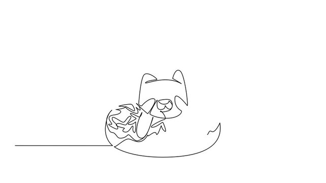 Animation of continuous line drawing of cute red panda depicts small animal lying inside sprinkled donut for pastry food concept. Simple illustration fits nursery poster purpose. Full length motion