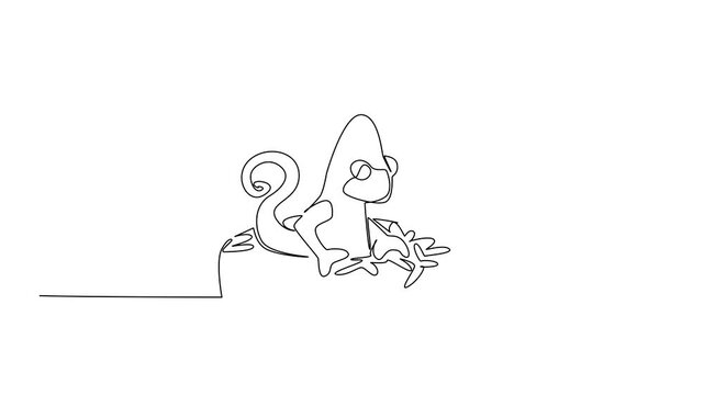 Animated self drawing of continuous line drawing of cute chameleon depicts exotic lizard animal lying inside glazed donut. Simple illustration fits nursery poster. Full length single line animation