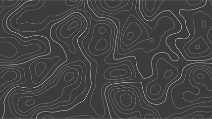 topography line map. Vector geographic contour map background.. Abstract topographic contours map background. Vintage outdoors style.Geographic abstract grid. EPS 10 vector illustration. © MSROKSANA