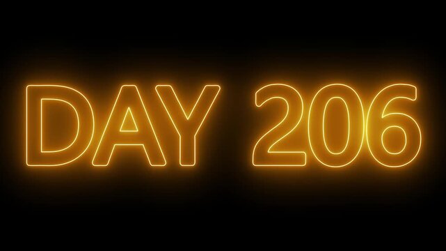 Neon text day 206 animation on black background. flickering neon inscription DAY 206. calendar counter concept