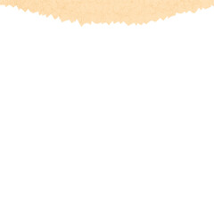 Obraz premium Torn Paper Edge Graphic