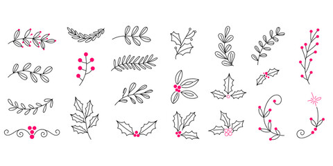 Collection of hand drawn botanical elements with leaves branches and berries on white background. © Sojib