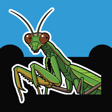 A cartoon-style green praying mantis with large eyes