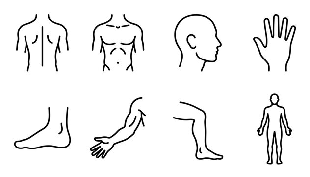 Set of human body part line icons showing the head, torso, back, arm, leg, hand, and foot in a minimalist, schematic style for anatomy or medical illustrations