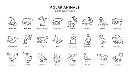 Polar animals outline icon set with labels. Editable Stroke © hafid