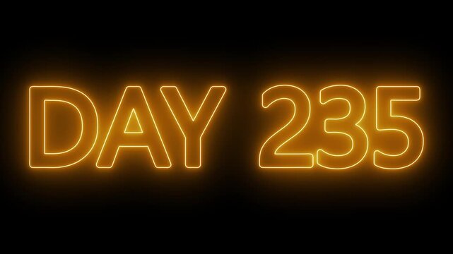 Animated glowing flickering neon inscription DAY 235. Day 235 neon text animation, calendar counter concept on black background
