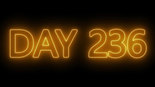 Animated glowing flickering neon inscription DAY 236. Day 236 neon text animation, calendar counter concept on black background