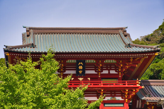 鶴岡八幡宮」の写真素材 | 1,802件の無料イラスト画像 | Adobe Stock