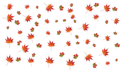 Autumn Maple Leaves Scattered Across White Background, Vibrant Fall Colors, Seasonal Nature Elements

