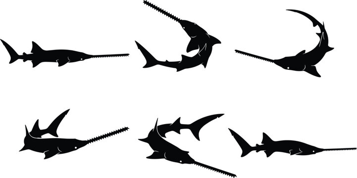 Sawfish silhouette illustration set, marine shark fish with long rostrum, black and white vector collection for ocean wildlife concepts
