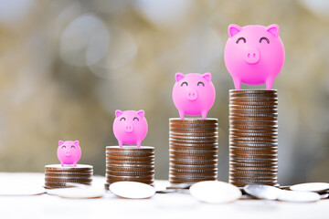 Growing Savings Concept with Piggy Banks on Coin Stacks