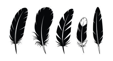 Five Black Feather Silhouettes on White Background