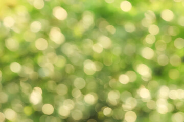 Obraz premium ぼけた緑のバックグラウンド