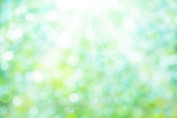 ぼけた緑のバックグラウンド
