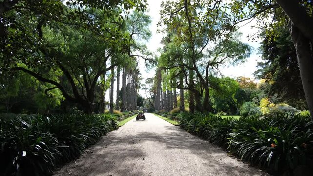 Williamstown Botanic Gardens in Melbourne, Australia, with a maintenance worker using a utility vehicle to level a gravel pathway in distance.