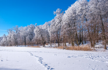 Zimowe Kaszuby © Aleksandra