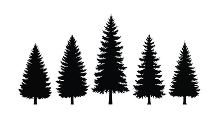 Obraz premium A group of evergreen trees depicted in dark silhouette