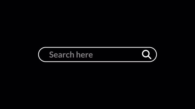 search bar Animation with alpha channel, browsing search bar button animation on transparent background, Search bar animated with magnify glass icon,Web search bar icon animation.