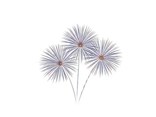 Fototapeta premium A blue and red dandelion clock on a white background isolated on transparent background, png