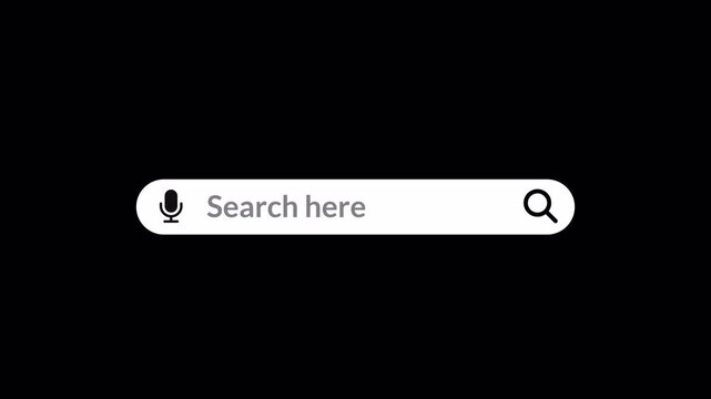 search bar Animation with alpha channel, browsing search bar button animation on transparent background, Search bar animated with magnify glass icon,Web search bar icon animation.