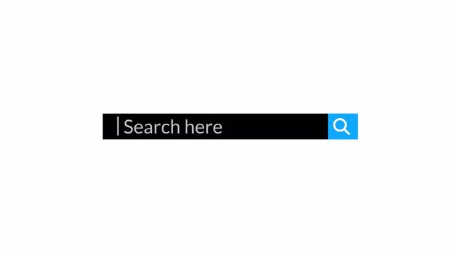search bar Animation with alpha channel, browsing search bar button animation on transparent background, Search bar animated with magnify glass icon,Web search bar icon animation.