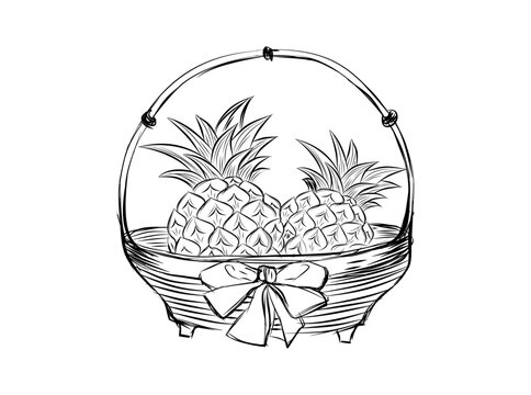 Sketch of pineapple. hand drawn fruit  tropical product. Vegetarian and vitamin food, sweet desert vector drawing.