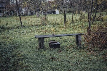 Old Garden in a Village in Late Autumn