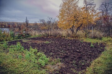 Fototapeta premium Old Garden in a Village in Late Autumn