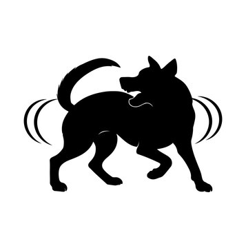 dog chasing his tail