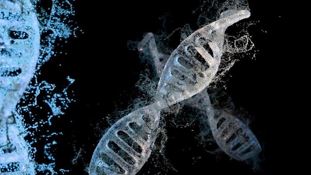 Multiple DNA helixes made of particles in seamless loop. 3d animation of DNA particles structures floating. Futuristic genetic background with multiple DNA helixes. Multiple DNA strands and particles 