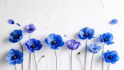 マットな白漆喰壁を背景に、淡いブルーとラベンダーのコスモスを縁に散りばめたミニマルなフラワー背景です。
中央には縦方向に大きなネガティブスペースを確保し、広告や見出し配置に最適。
自然光が花の繊細な花弁と軽やかな印象を引き立てます。
春から初夏の広告、ライフスタイル、ナチュラル系ブランドに適した素材です。