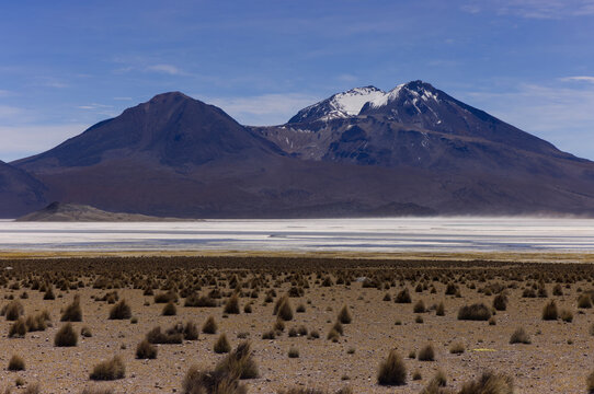 The Salar de Surire Natural Monument in Chile