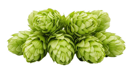 Fresh green hop cones arranged in a group, cut out, stock png, isolated on transparent background