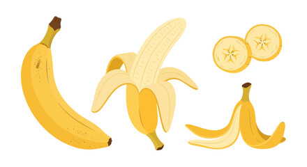 A vibrant vector illustration set showcasing the banana in four distinct forms: whole and ripe, partially peeled, sliced into rounds, and a discarded skin © Skyframe
