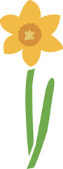 黄色い水仙の花と葉のイラスト
